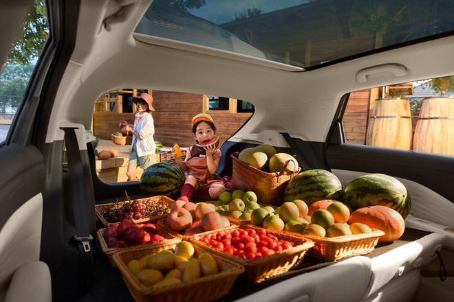 电极狐T1联手大张伟让生活闪闪发光pg模拟器试玩上市628万起精品纯(图9) 电极狐T1联手大张伟让生活闪闪发光pg模拟器试玩上市628万起精品纯(图9)